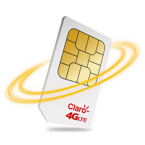 chip1