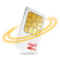 chip1