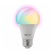 Foco-Rgb-nexxt