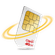 chip1